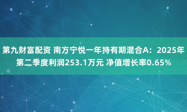 第九财富配资 南方宁悦一年持有期混合A：2025年第二季度利润253.1万元 净值增长率0.65%